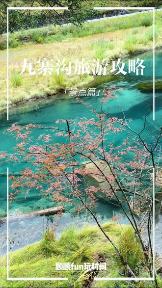 #顾顾fun玩时间 #九寨沟旅游攻略
家人们,九寨沟那可真是一生必须要去打卡的地方啊!来这玩,强烈推荐买门票加观光车的套票,我就是在微信里找到“九寨沟”公众号买的,到了景区门口,刷身份证就能直接进去,超方便。
你们知道吗,这九寨沟景区是 Y 字形的,你是去“长海”还是“原始森林”,那就跟抽盲盒似的,全看景区根据人流量咋分流观光车了。我跟你们说,我运气可太好了,抽到了原始森林这条线,那景点老多了。
九寨沟海拔可不低,不管夏天还是秋冬,厚衣服一定得带上。爱拍照的小姐姐们,穿上藏服在这一拍,那照片老美了。我在林子里还碰到松鼠了,跟小精灵似的,太可爱了。
再给你们说说这几个景点。“箭竹海”,因为长满箭竹得名,电影《英雄》还在这取过景,一下子就出名了。湖面老开阔了,水蓝汪汪的,倒影漂亮得不像话,冬天还不结冰,有腐木更新的景观,可神奇了。
“熊猫海”,一听名就知道,常有熊猫来溜达。海水清澈见底,倒影清楚得很,还有带特殊纹路像熊猫的白石,到了冬天,冰面黑白相间,就跟熊猫皮似的。
“五花海”是滑坡泥石流堵住冰川沟谷形成的,湖底的钙华、多彩的藻类加上岸边林木的倒影,五颜六色的,简直绝了。
“珍珠滩”大概 100 米长,那激流冲下去形成珍珠滩瀑布,水色好看,气势老猛了,《西游记》片头就在这拍的,滩上全是坑洞,水花溅起来跟珍珠似的。
逛累了能到“诺日朗”歇歇,然后坐观光车去“长海”。“长海”是冰川作用形成的冰斗湖,周围山峰树林环绕,雪常年不化,湖水墨蓝墨蓝的,神奇的是它没出水口还能保持平衡。
最后就是“五彩池”,它是碳酸钙沉积形成的,最小但颜色最丰富,颜色还会变,池子周围都是草木,大家都管它叫九寨之眼。
总之啊,九寨沟之旅,那就是一场视觉和心灵的双重盛宴,来了保准你不后悔!
#大山深处自然美山清水秀好风光 #旅行推荐官 #远离城市的喧嚣 #治愈系风景 #风景如画的地方 #风景都在路上 #大自然的魅力 #随手一拍都是美景 #美在山水间 #森林氧吧 #户外 #瀑布 #旅游 #感受大自然 #旅行 #好山好水好风景