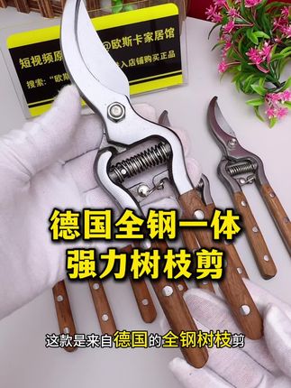 德国进口全钢一体成型打造的一款强力树枝剪,无焊接 加粗加厚的一款强力省力树枝剪,园林专用修枝剪#树枝剪 #树枝修剪 #修枝剪#园林工具 #果树修剪