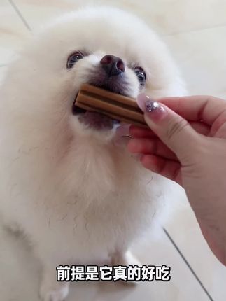 现在这个活动价格每天一根我都不心疼钱包 #粒粒爱 #粒粒爱洁齿骨 #狗狗狗狗狗狗狗狗狗狗狗狗🐶 #科学养宠