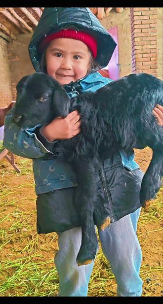 当 kelen 的这几天