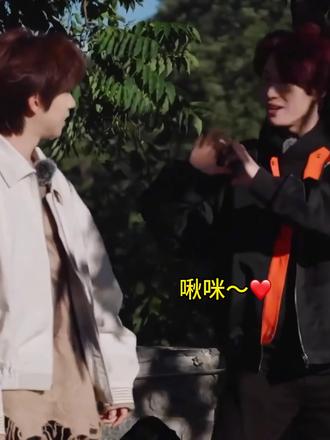 哈哈哈原版的啾咪来啦#翔霖 #严浩翔贺峻霖