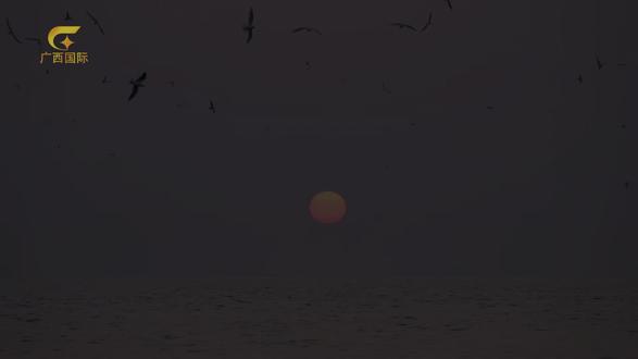 中国首部布氏鲸4K纪录长片《方舟-布氏鲸》历时7年跟踪拍摄,首次记录到中国国家一级保护动物布氏鲸的求偶行为和夜间捕食行为,首次通过水下录音获得布氏鲸母子水下交流音频,展现中泰科学家携手为布氏鲸打造“生命方舟”、探索人与自然和谐共生的积极实践。本片将于7月1日在中泰两国全球首播,庆祝中泰建交50周年,广西卫视21:50、广西国际频道21:00,敬请关注!#布氏鲸 #纪录片 #中泰建交50周年 #4K