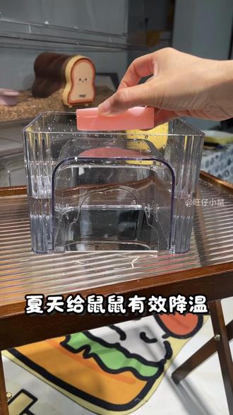 夏季仓鼠降温,还得这种专门的冰窝管用! #仓鼠 #养鼠日常分享 #新手养鼠指南 #仓鼠夏季降温 #仓鼠冰窝