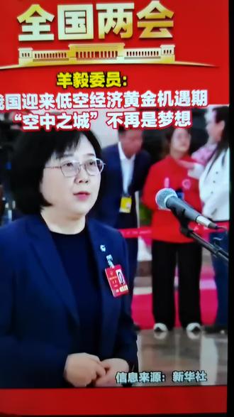 李靖星火品牌睿途低空经济星火品牌