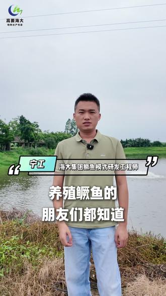 驯化期就是鳜鱼的鬼门关,今天把运输、上池、分筛、恶劣天气应激四大关卡,一次性讲透!#鳜鱼 #驯化 #水产养殖 #养殖科普