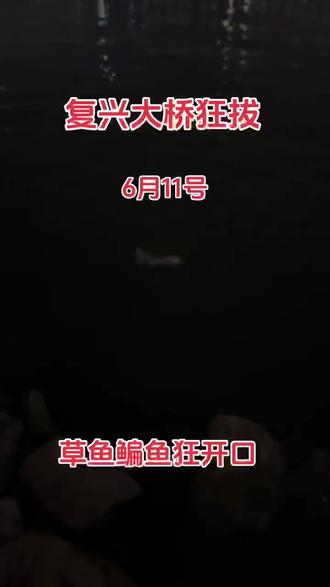 复兴大桥狂开口#鳊鱼#草鱼