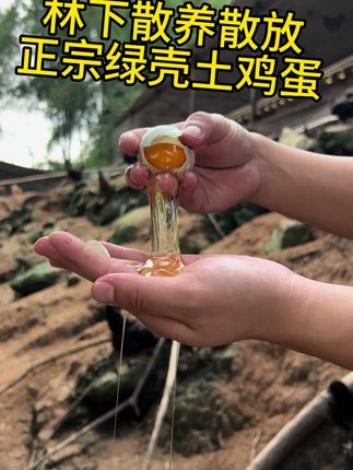 孕妇宝宝都喜欢吃的土鸡蛋,营养美味,好吃健康,现捡现发,所见即所#散养土鸡蛋 #鸡蛋
