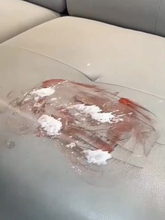 要是早点发现这个方法,也不至于好好的皮沙发换掉了! 喷上后拿白色海绵擦一擦,就能搞定皮沙发的顽固污渍。#皮沙发清洁妙招 #皮沙发清洁保养 #皮沙发污渍 #清洁皮沙发 #皮沙发清洁剂