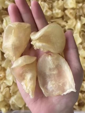 珍珠胶,鲜炖煲汤,相当美味#珍珠胶 #鱼胶