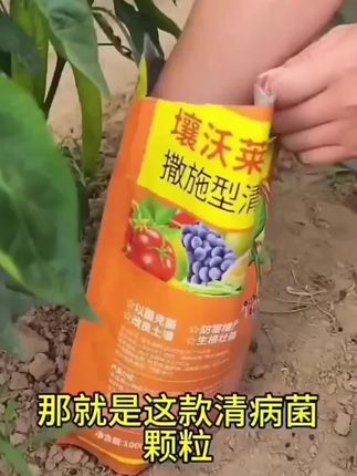 升级款撒施型防护颗粒瓜果蔬菜农用作物肥小黑飞菜青专用#农村生活