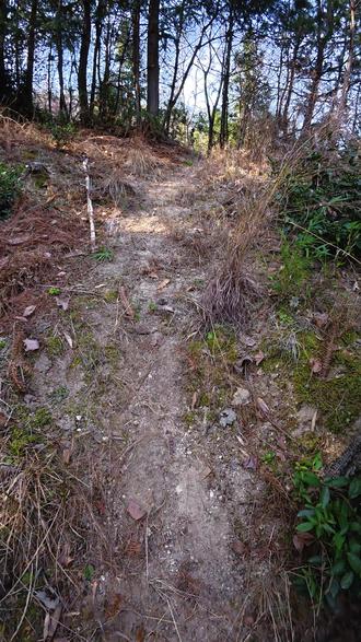 千年老鼠屎 | 连续的加班, 闲下来的第一天当然是进山寻宝啦 #乡村守护人 #远离城市的喧嚣