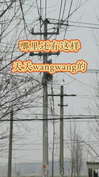 村里喇叭天天喊禁放烟花,小时候那声“砰”真的回不来了😔#上热门话题🔥🔥🔥 #真实生活分享计划 #禁止放鞭炮