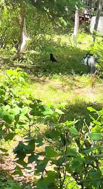 2026.5.24#随手拍 #夏日的暖阳 #太阳的光芒 @抖音小助手