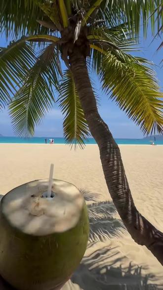 intous家白芸豆,夏天的时髦精们赶紧囤!#白芸豆 #美女必备 #intous #亲测有效