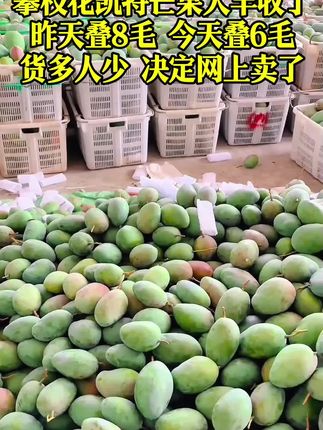 #攀技花凯特芒果 #皮薄肉厚果肉饱满 #应季水果 #新鲜采摘 #农产品