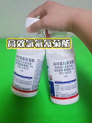 #病虫害防治 #农业种植 #杀虫剂 #农业种植技术 #高效氯氟氰菊酯