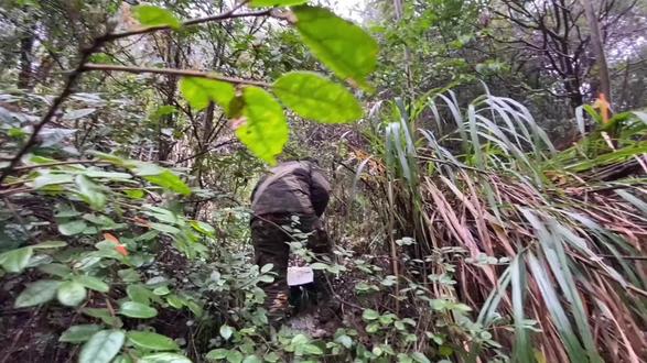 #上热门 #荒野求生 荒野灰熊裁判长,来时的路。考古视频29#话题 #比赛集锦 #荒野 @DOU+小助手 @DOU+上热门