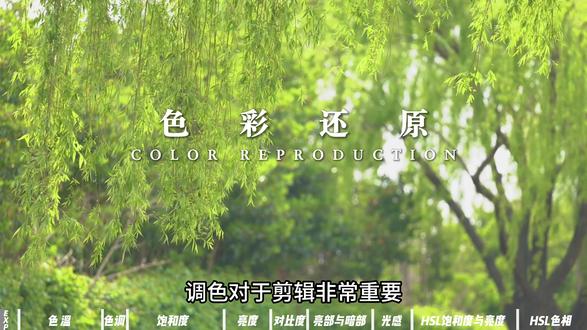 零基础也能学会的调色教程,超详细,剪映电脑版 #零基础学剪辑 #调色教程 #剪辑教程