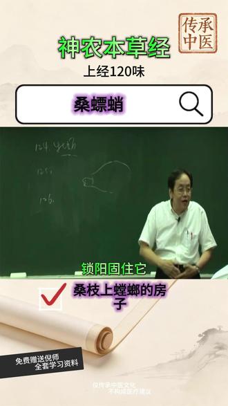 跟倪海厦老师学神农本草经:桑螵蛸