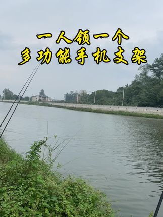 #桌面手机支架 #懒人手机支架 #手机支架 #平板支架