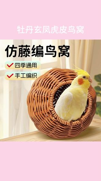 天气变暖,棉窝得换成这种藤编的鸟窝了! #鹦鹉鸟窝 #仿藤编鸟窝 @DOU+小助手