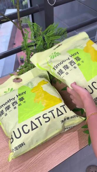 记得不要一直给猪猪吃烘干提摩西哦,晒干的也要搭配着吃 #荷兰猪 #边牧椰椰 #提摩西草 #兔子 #晒干提摩西草