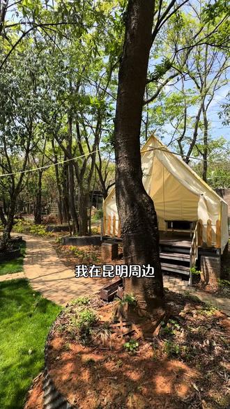 周末出游就来这儿!什么都不用带!一家人就能玩得很开心,很尽兴!#在林间露营基地 #周末去哪儿 #原始森林 #露营 #亲子游玩好去处