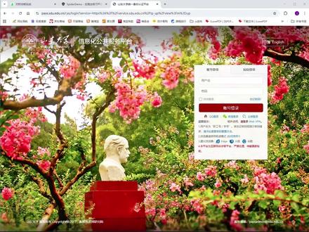 挑战用Python爬【山东大学】登录页面,一键检验其代码水平 #python #爬虫 #逆向 #大学生 #山东大学
