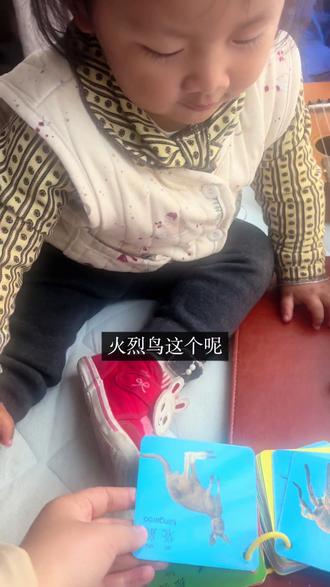 说到小动物那就来劲儿了#知识启蒙 #阅读 #家庭日常 #😂谁能看出这有什么门道 #认知卡片