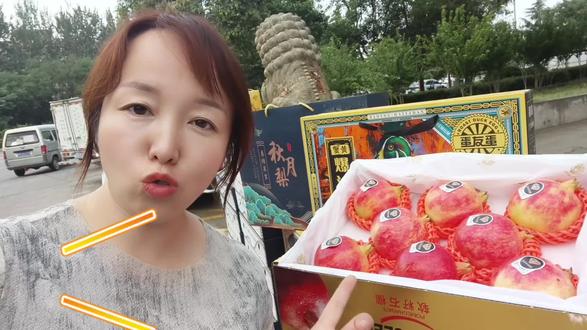 中秋的甜,是石榴给的。
水果界的“雅诗兰黛”,吃在嘴里,甜在心里。
软籽石榴的寓意是红红火火、多子多福、团团圆圆。#水果莎莎 #中秋礼盒 #运城同城水果