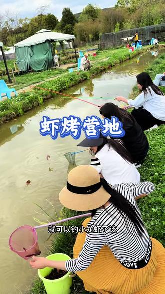 金殿后山 虾烤营地 太好玩啦#一般人不告诉他 #钓小龙虾 #龙虾季 #遛娃好去处 #金殿后山