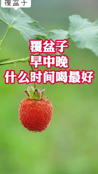 覆盆子什么时候喝最好 #覆盆子 #覆盆子到底是什么 #覆盆子泡水 #千岛湖覆盆子 #滋补
