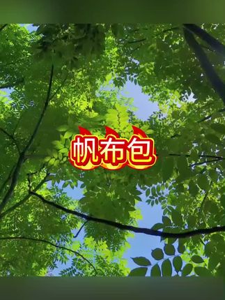 帆布包#帆布包 #包包 #包包推荐 #手提包 #斜挎包