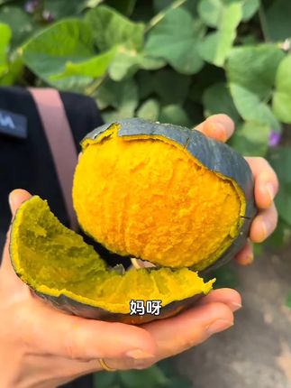 一款老人小孩都爱吃的贝贝南瓜一口下去粉糯香甜,超好吃#正宗贝贝南瓜