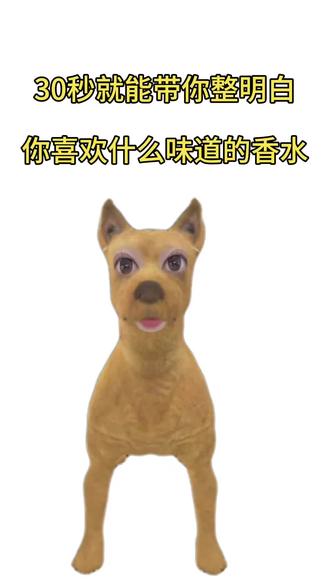 30秒就能带你整明白你喜欢什么类型的香水!
#香水 #清冷纯欲 #上热门 #朴致观雪融川香水#平价香水@抖音小助手 @DOU+小助手