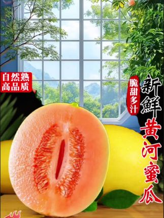 #黄河蜜瓜 #蜜瓜 #皮薄多汁#又脆又甜又多汁,#优质农产品