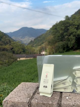 世代做茶,做茶是老手,短视频是新手。带大家看看我们的生态环境,茶园气息,古色古香