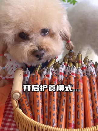 低盐低油低脂配方,猫咪狗狗都爱吃#萌宠好物 #宠物火腿肠 #超便宜超划算 #好吃到停不下来