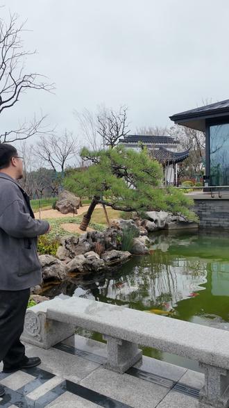 有山有水有风骨 不是所有院子,都能这么有格调。斜飘黑松,临水而造,有山有水有风骨,耐看、镇宅、上档次。
#黑松 #庭院鱼池 #中式庭院 #景观实景 #好雅景观#园林景观