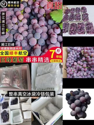 巨峰葡萄正宗浦江巨峰葡萄阳光玫瑰新鲜当季孕妇水果整串包甜冷链