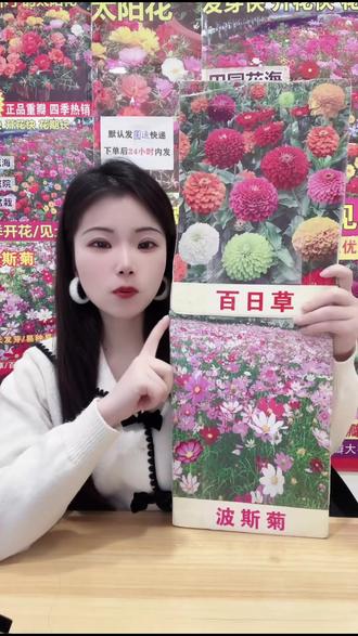 懒人福音!四季开花的格桑花种子来啦!