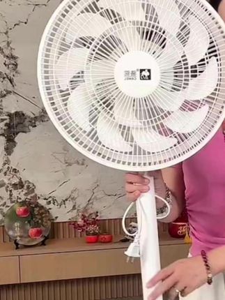 骆驼大风力大号循环扇静音平面扇台式立式两用电风扇#风扇