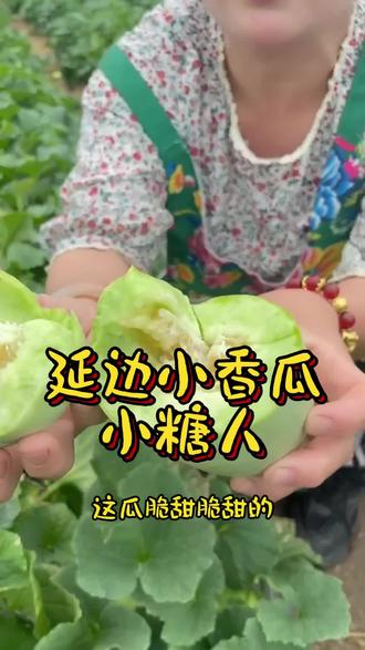 延边小糖人,嘎嘎脆甜。