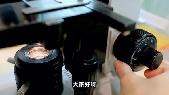 β酵母葡聚糖的功效 β-葡聚糖 = 强免疫 + 护肠道 + 清血脂 + 稳血糖 + 抗炎抗衰#健康科普 #健康 #β葡聚糖