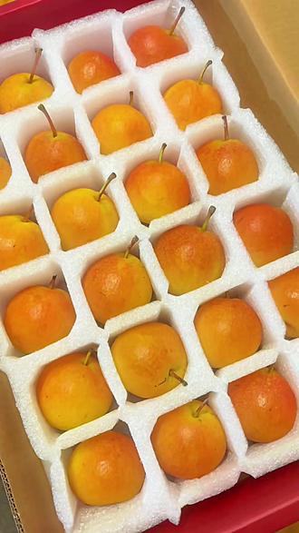 2023年辽宁鞍山海城南果梨南国梨新鲜净重5斤坏果包赔香甜皮薄#海城南果梨