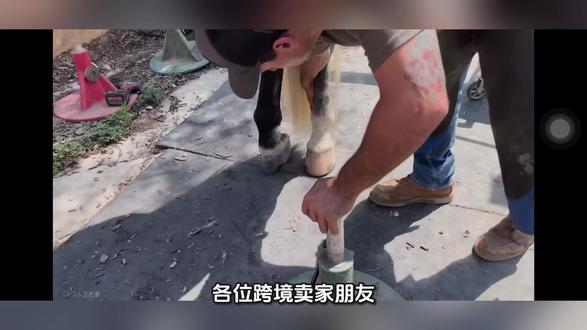 5.25跨境欧美消费观分享 #美区货盘 #欧洲货盘 #跨境电商好伙伴 #跨境电商亚马逊 #跨境电商选品