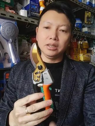 果树修枝剪 优质省力粗枝剪果树修枝剪园艺通用修枝专业剪刀剪切锋利耐用#枝剪 #园林工具