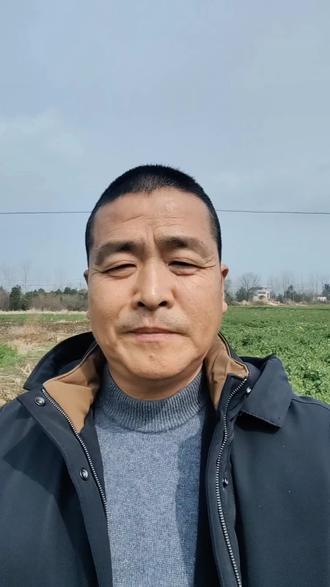 怎样做到油菜菌核病的精准防治。#三农#油菜#菌核病#农业#植保技术