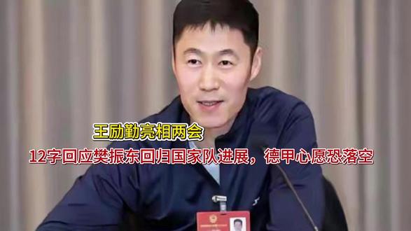 王励勤亮相两会,12字回应樊振东回归国家队进展,德甲心愿恐落 王励勤亮相两会,12字回应樊振东回归国家队进展,德甲心愿恐落空