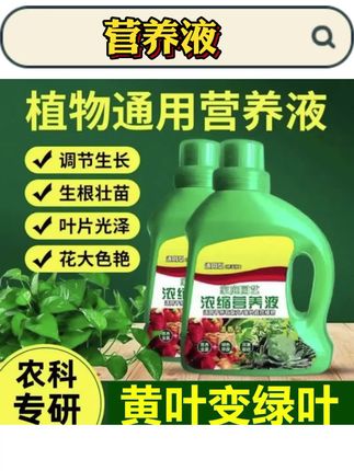【养花通用浓缩型】植物专用营养液 水培专用营养液 快速生根液#植物营养液#植物营养液通用型 #植物营养液通用型花草盆栽用 #植物营养液配方 #植物营养液怎么使用